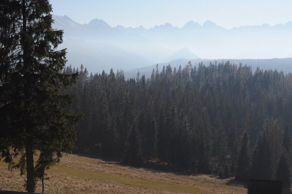widok z tarasu