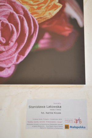 zdjęcie kwiatów z bibuły Stanisławy Latowskiej