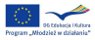 logo Młodzież w Działaniu